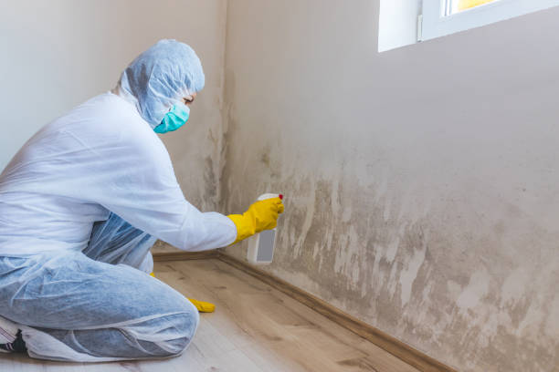 Licensed Mold Testing service in Caldwell, TX - WQB Mold Removal