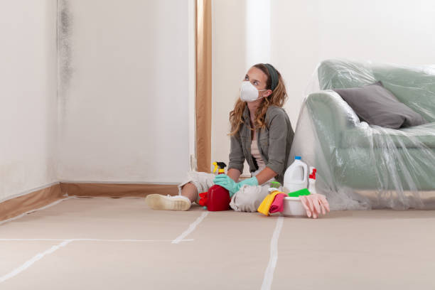Reliable Mold Testing contractor in Caldwell, TX by WQB Mold Removal
